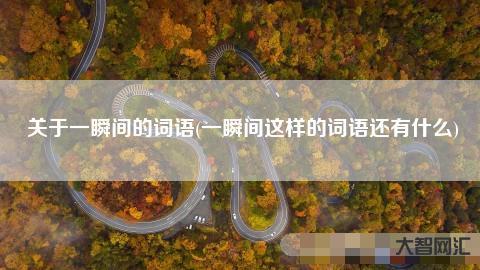 2、什么词有什么词?
