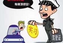 实习期上高速怎么处罚-实习期上高速怎么处罚-大智网汇