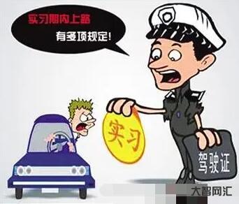 2、实习期间如何处罚高速公路?