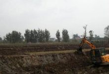泥鳅养殖池塘要怎么建造好?-大智网汇