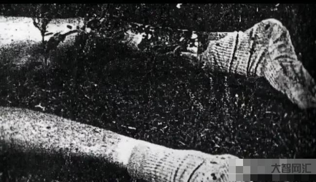 发生在95年的吸血鬼事件