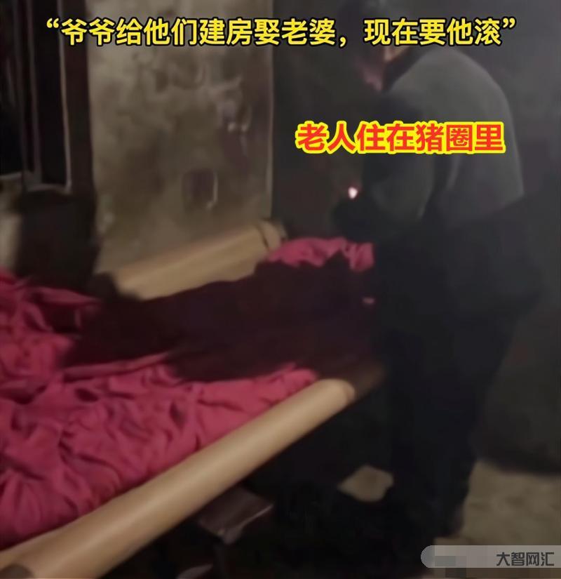 官方辟谣老人被4子抛弃住猪圈