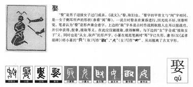 “提供”的正确读音是什么?