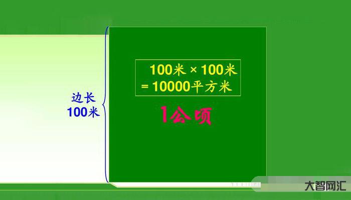 3、一公顷多少亩地?