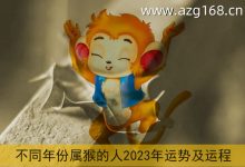 2023年是什么年-2023年是属什么年?-大智网汇