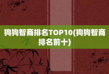 狗狗智商排名TOP10-狗狗智商排名前十-大智网汇