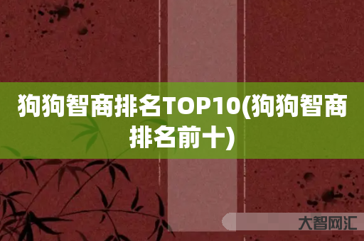 狗狗智商排名TOP10(狗狗智商排名前十) 狗狗智商排名TOP10(狗狗智商排名前十)