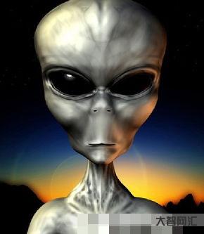 上海外星人旗舰店那种ALIENWARE官方直营总店的旗舰