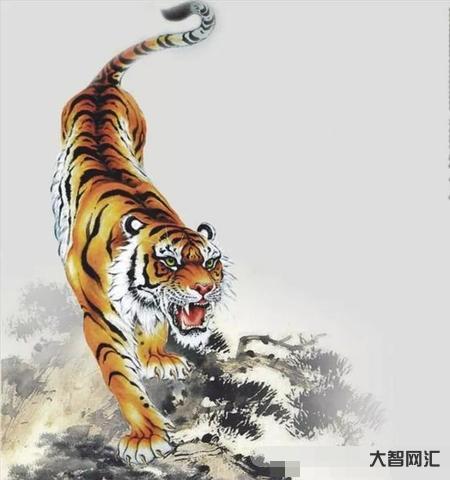2、什么动物胆大包天?