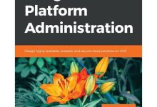 platform-platform怎么读-大智网汇