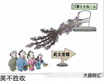 美不胜收什么意思