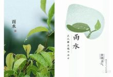 雨水的雨水的含义-二十四节气雨水的含义是什么-大智网汇
