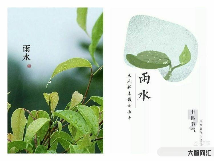 雨水的雨水的含义