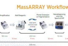 array-array什么意思-大智网汇