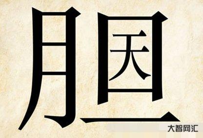 3、胆大包天猜十二生肖是什么?