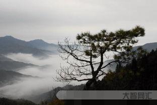 巍峨是什么意思,词语巍峨的解释,汉语词典