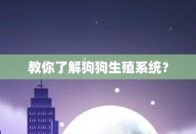 教你了解狗狗生殖系统?-大智网汇