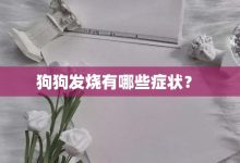 狗狗发烧有哪些症状?-大智网汇