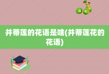 并蒂莲的花语是啥-并蒂莲花的花语-大智网汇