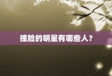 撞脸的明星有哪些人?-大智网汇