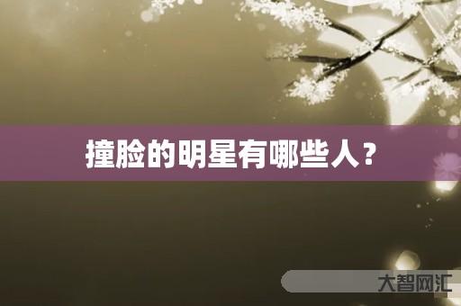 撞脸的明星有哪些人? 撞脸的明星有哪些人?