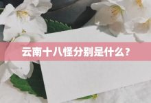 云南十八怪分别是什么?-大智网汇