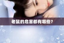 老鼠的危害都有哪些?-大智网汇