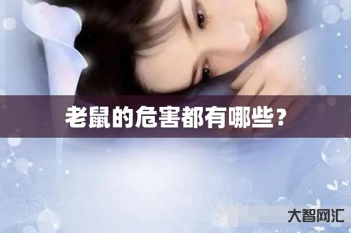 老鼠的危害都有哪些? 老鼠的危害都有哪些?