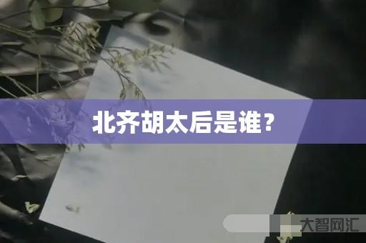 北齐胡太后是谁? 北齐胡太后是谁?