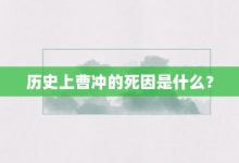 历史上曹冲的死因是什么?-大智网汇