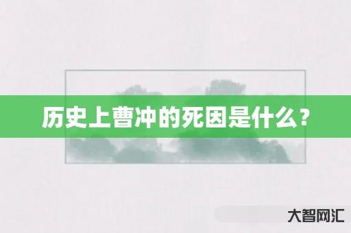 历史上曹冲的死因是什么? 历史上曹冲的死因是什么?