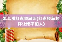 怎么引红点颏鸟叫-红点颏鸟怎样让他不怕人-大智网汇