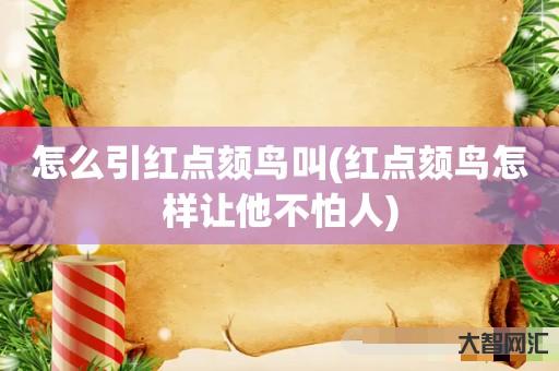 怎么引红点颏鸟叫-红点颏鸟怎样让他不怕人 怎么引红点颏鸟叫-红点颏鸟怎样让他不怕人