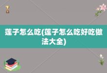 莲子怎么吃-莲子怎么吃好吃做法大全-大智网汇