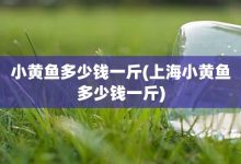 小黄鱼多少钱一斤-上海小黄鱼多少钱一斤-大智网汇
