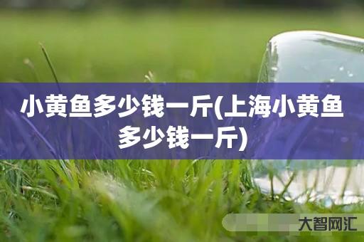 小黄鱼多少钱一斤-上海小黄鱼多少钱一斤 小黄鱼多少钱一斤-上海小黄鱼多少钱一斤