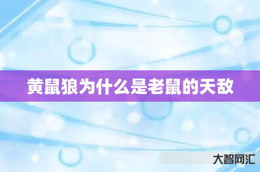 黄鼠狼为什么是老鼠的天敌 黄鼠狼为什么是老鼠的天敌