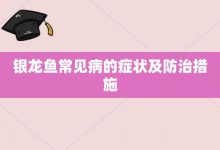 银龙鱼常见病的症状及防治措施-大智网汇