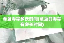 章鱼寿命多长时间-章鱼的寿命有多长时间-大智网汇