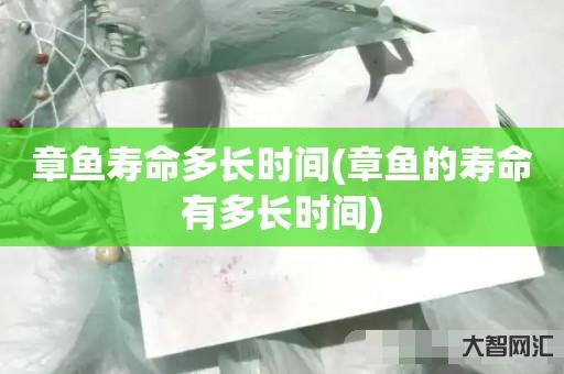 章鱼寿命多长时间-章鱼的寿命有多长时间 章鱼寿命多长时间-章鱼的寿命有多长时间