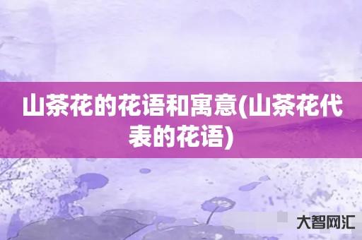 山茶花的花语和寓意-山茶花代表的花语 山茶花的花语和寓意-山茶花代表的花语