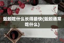 蚯蚓吃什么长得最快-蚯蚓通常吃什么-大智网汇