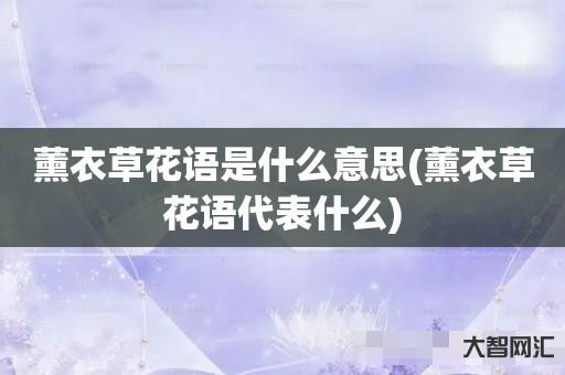 薰衣草花语是什么意思-薰衣草花语代表什么 薰衣草花语是什么意思-薰衣草花语代表什么