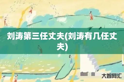 刘涛第三任丈夫-刘涛有几任丈夫 刘涛第三任丈夫-刘涛有几任丈夫