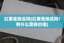 红薯是地瓜吗-红薯是地瓜吗?有什么营养价值-大智网汇
