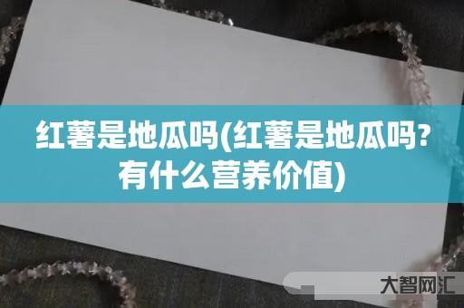 红薯是地瓜吗-红薯是地瓜吗?有什么营养价值 红薯是地瓜吗-红薯是地瓜吗?有什么营养价值