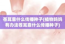 苍耳靠什么传播种子-植物妈妈有办法苍耳靠什么传播种子-大智网汇