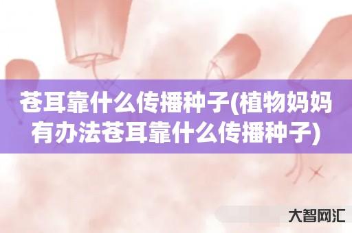 苍耳靠什么传播种子-植物妈妈有办法苍耳靠什么传播种子 苍耳靠什么传播种子-植物妈妈有办法苍耳靠什么传播种子