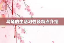 乌龟的生活习性及特点介绍-大智网汇