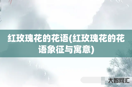 红玫瑰花的花语-红玫瑰花的花语象征与寓意 红玫瑰花的花语-红玫瑰花的花语象征与寓意